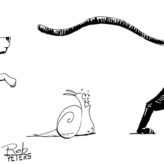 Snail13