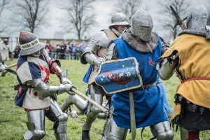 Photo -- Medieval knights in combat