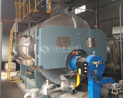 Oil fired steam boiler