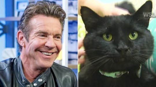 dennis-quaid-cat-adoption