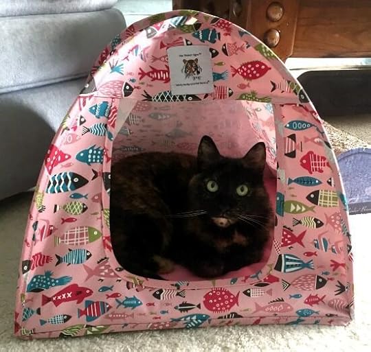 cat-fish-tent