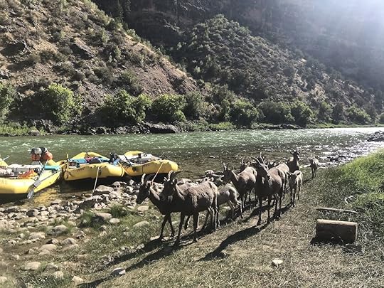 greenriver3
