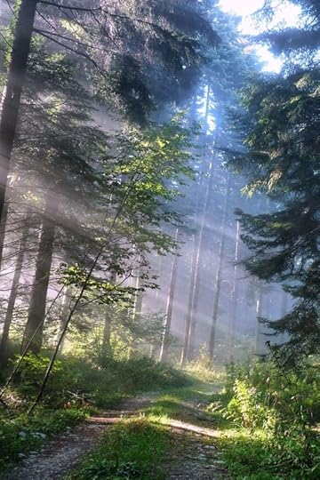 ECF02-D1-E-582-D-4-F36-8-EF5-C1-AC66808-F01