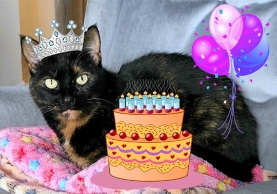 Allegra-11th-birthday