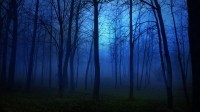 STRATAGEM Chapter 26