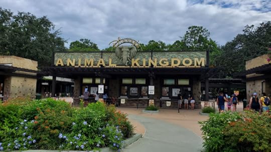 Animal Kingdom 2020 (2) – koopia