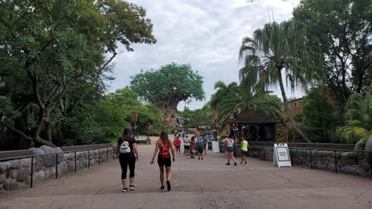 Animal Kingdom 2020 (3)
