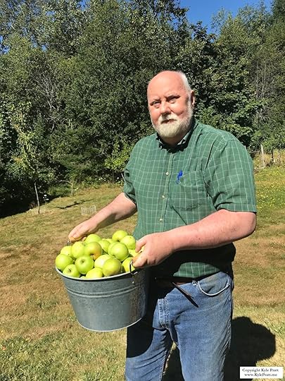 The first of the apple harvest (Click to enlarge)