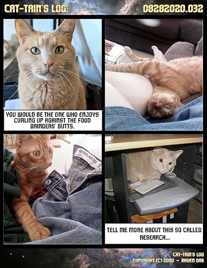 Cat-tain