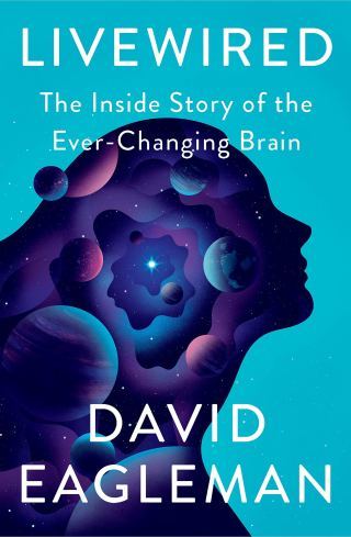 Neuroscientist David Eagleman on How the Physiology of Drug Withdrawal Explains the Psychology of Heartbreak and Loss