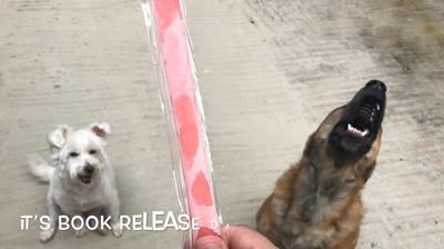 ‘Sonny Days’ is available