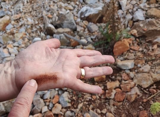 IMG_20191107_142933_Bokeh