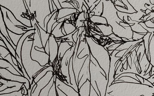 IMG_20200824_111810[13877]_4