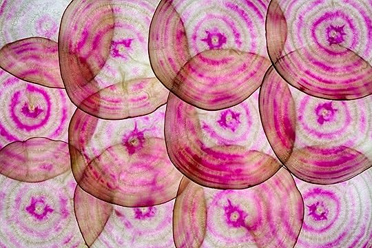 The Beet Goes On © Harold Davis