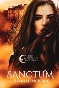Sanctum by Hannah McBride