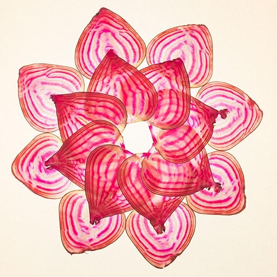 Chiogga Beet Slices Arranged as a Blossom © Harold Davis