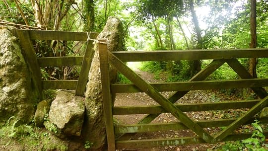 Nattadon Commons gate