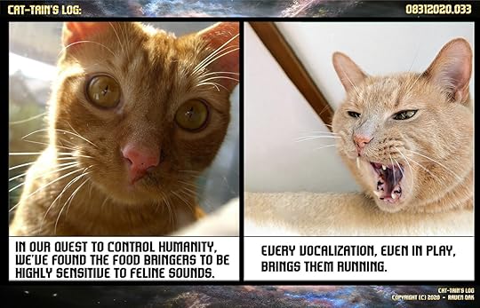 Cat-tain
