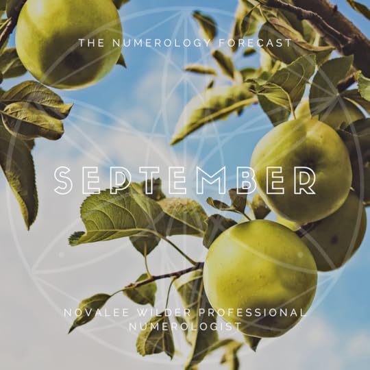 view of the sky through an apple tree, graphic for the numerology foreacst 2020 by novalee ilder