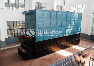 Biomass fired thermal oil boiler