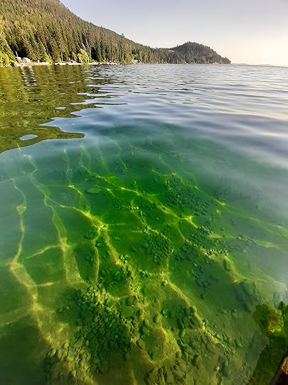 flathead lake montana water