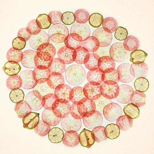 Lady Pink Apple Slices with Lemons © Harold Davis