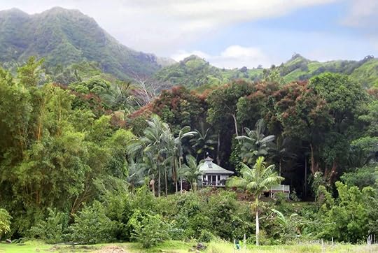 hawaii8