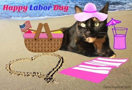 beach-cat-picnic