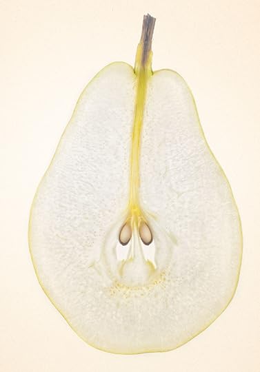 Pear Slice with Two Seeds © Harold Davis