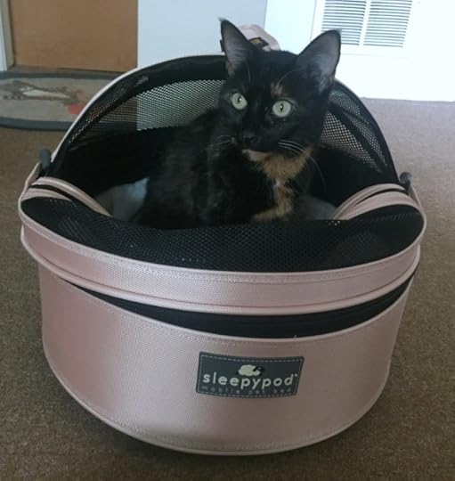 sleepypod-first-blush-mobile-pet-bed