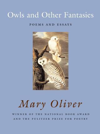 Of Owls and Roses: Mary Oliver on Happiness, Terror, and the Sublime Interconnectedness of Life