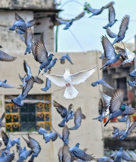 B37-AA750-F982-47-EA-BDB2-27-C4-D8208591