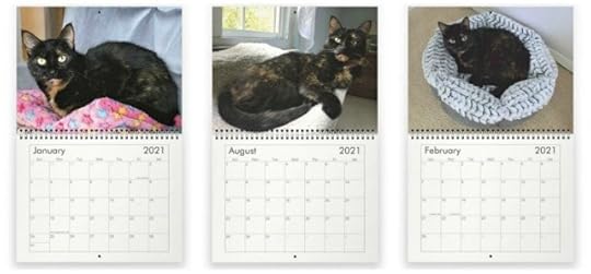 2020-conscious-cat-calendar