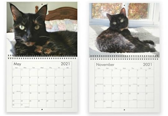 conscious-cat-wall-calendar