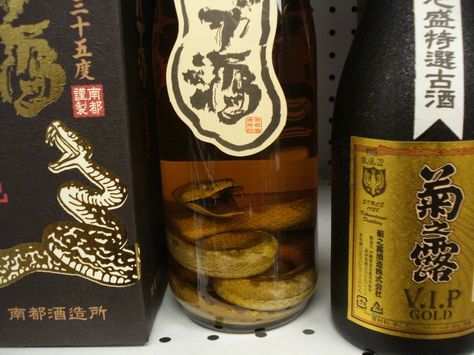 Habu Sake | Wine bottle, Liquor, Alcohol