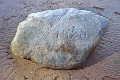 Plymouth+Rock+%284%29.jpg (390×260)