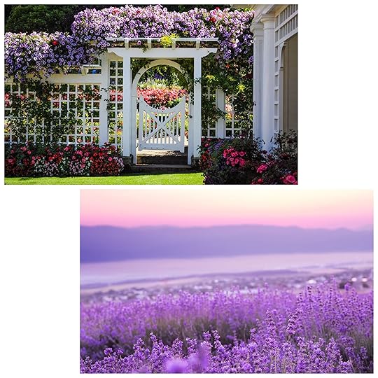 The Garden (Lavender Shores, 2) by Rosalind Abel