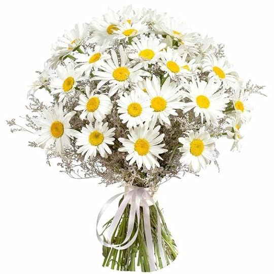 bouquet of daisies - Google Search