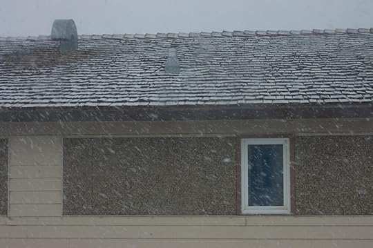 View from my dormitory window