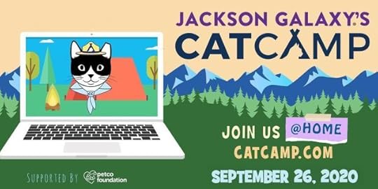 cat-camp-at-home