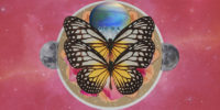 Weekly Astrology Forecast for All Signs November 30th 2020