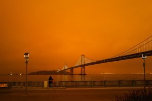 SF Bay Bridge milkovi