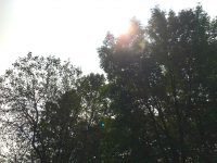 Savoring What You Still Have: Appreciating it before it’s gone