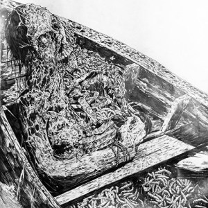 18579604-291118451347064-1926735875312451584-n-2