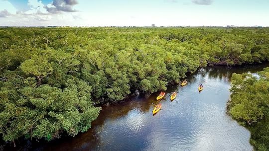 Paddling guide: Where, when, and how to kayak and SUP on The Beaches of Fort Myers & Sanibel