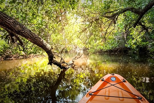 Paddling guide: Where, when, and how to kayak and SUP on The Beaches of Fort Myers & Sanibel