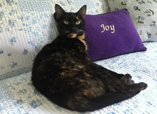  tortoiseshell-cat-pillow-quilt