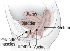 Bladder Infection