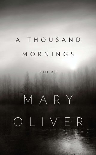 “I Go Down to the Shore”: Natascha McElhone Reads Mary Oliver’s Spare, Splendid Antidote to Melancholy and Personal Misery