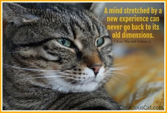 cat-face-smart